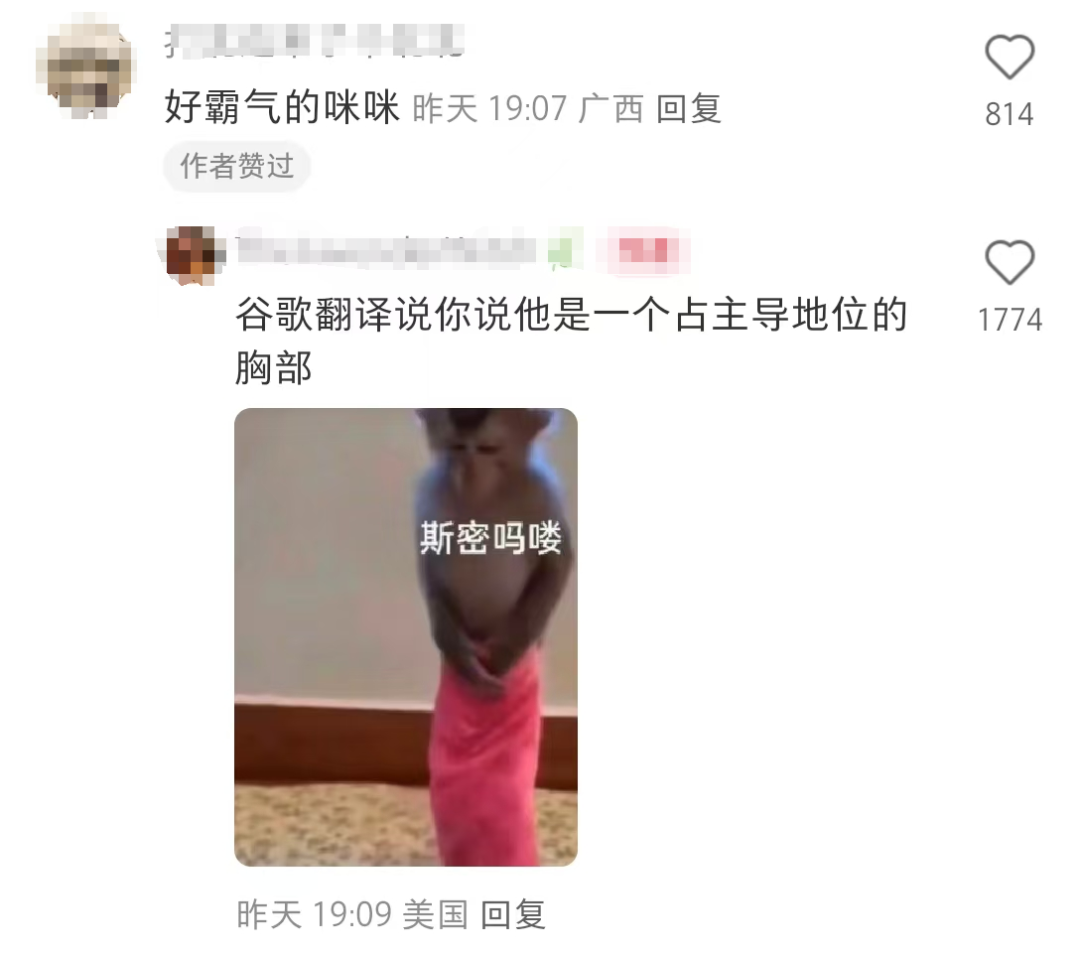 70万“TikTok难民”一夜涌进，小红书意外出海成烫手”小洋芋“？