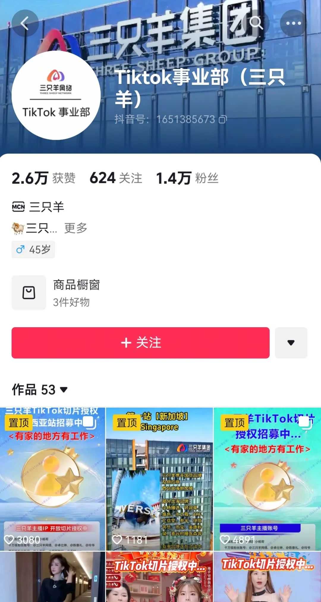 -DNY123东南亚电商