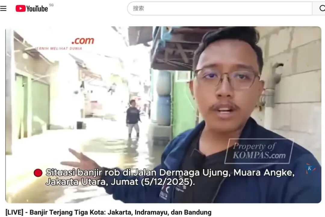 暴击三连！印尼市场旺季不旺，三大“拦路虎”截胡订单