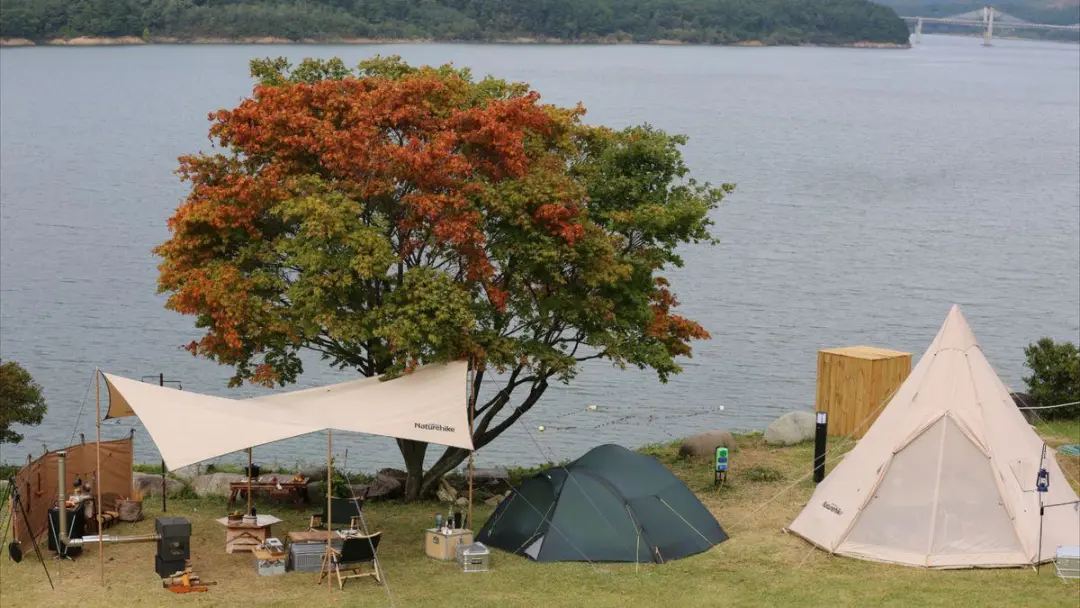 给欧洲大牌做了10年嫁衣,转身用平价帐篷撬开热带市场