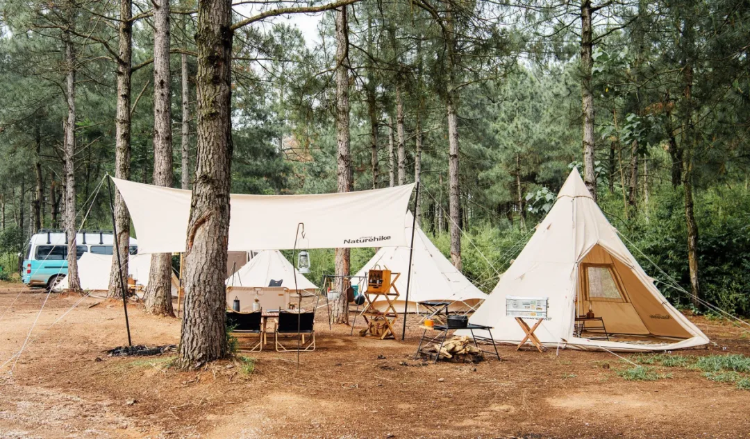 给欧洲大牌做了10年嫁衣,转身用平价帐篷撬开热带市场