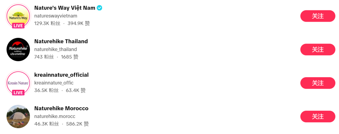 给欧洲大牌做了10年嫁衣,转身用平价帐篷撬开热带市场