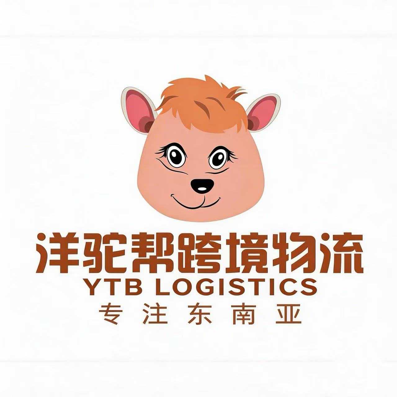 深圳洋驼帮国际物流海外仓