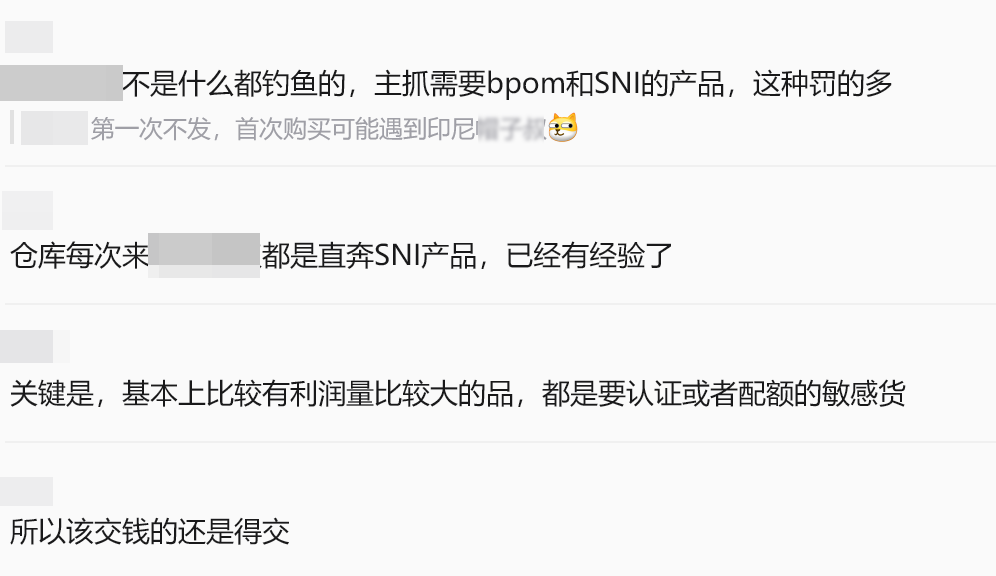 印尼查仓大幕拉开！卖家200万件库存连锅端
