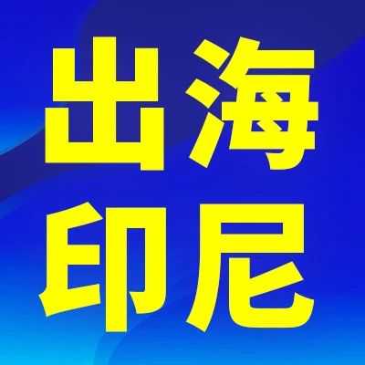 揭秘！印尼为何成为“出海必争之地”