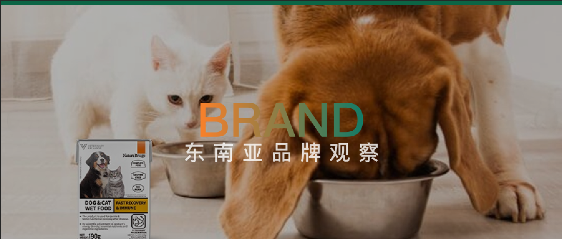 把中药材配进猫粮，国产老牌在印尼一年卖掉1.5万吨