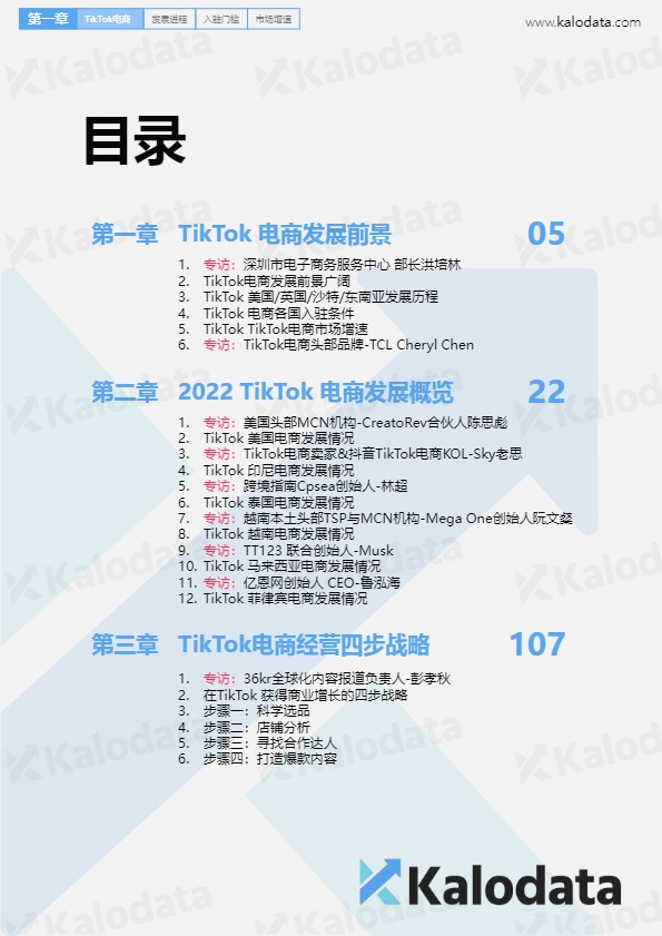 2024TikTok电商白皮书(网站） 