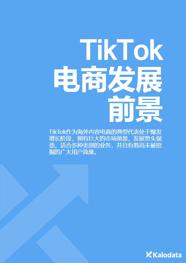 2024TikTok电商白皮书(网站） 