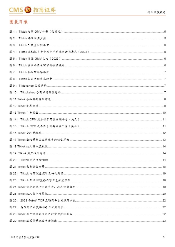 Tiktok电商专题报告：流量为王，引领内容电商出海大时代_罗戈网_RiH9fsPQ2Yjb 