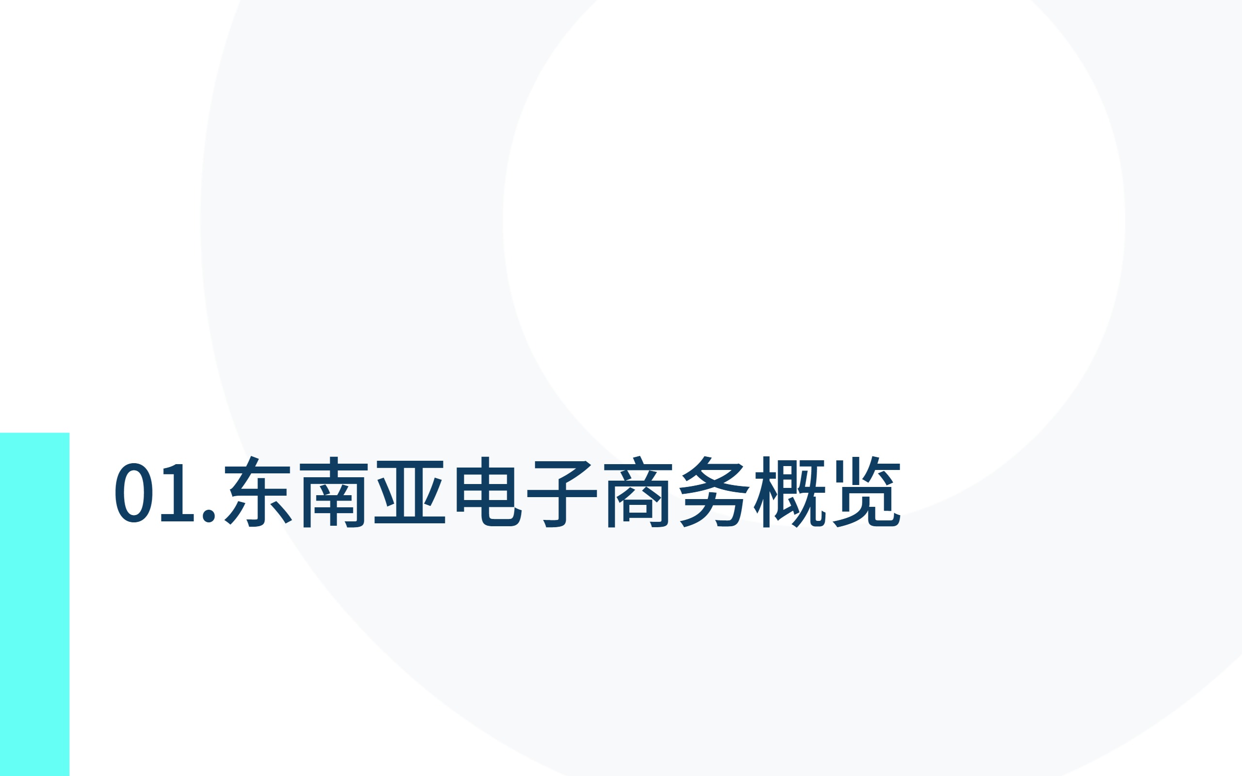 2024东南亚电子商务市场洞察报告-探谋（TMO） 