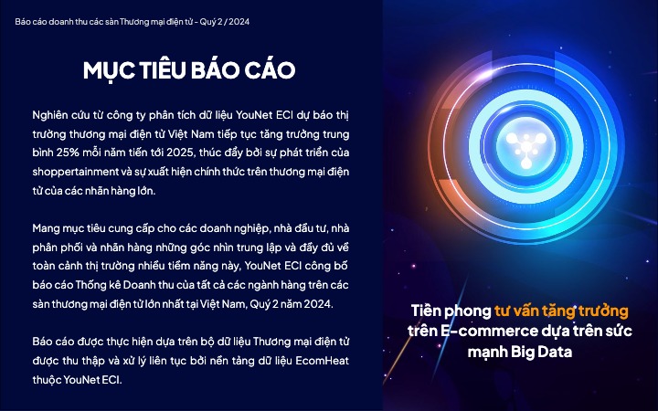 [Finalized] Báo cáo doanh thu các sàn E-com Q2_2024(1) 