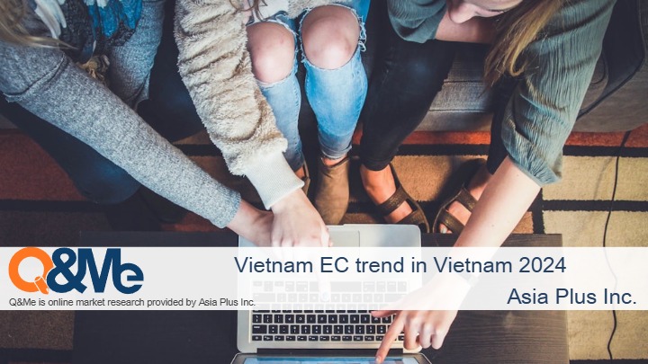 viet_nam_ec_trend_in_viet_nam_2024_2_en 