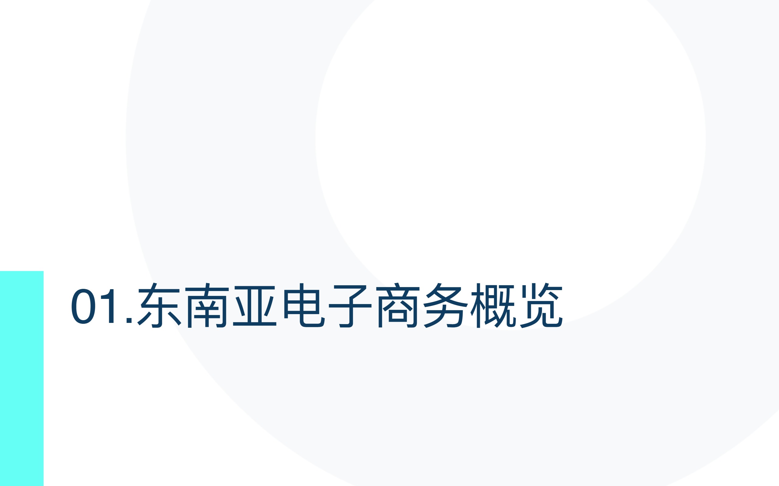 TMO 2024东南亚电子商务市场洞察 