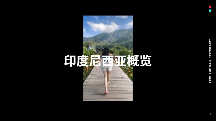 【TikTok】全球市场百宝书--印度尼西亚 