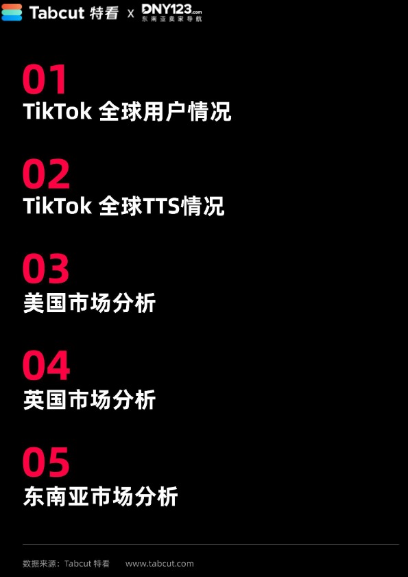 TikTok Shop 2024年度数据报告-DNY123 