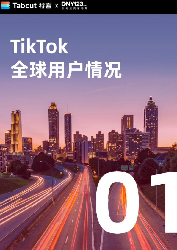 TikTok Shop 2024年度数据报告-DNY123 