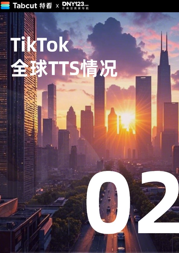 TikTok Shop 2024年度数据报告-DNY123 