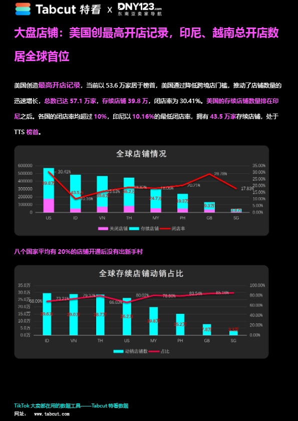 TikTok Shop 2024年度数据报告-DNY123 