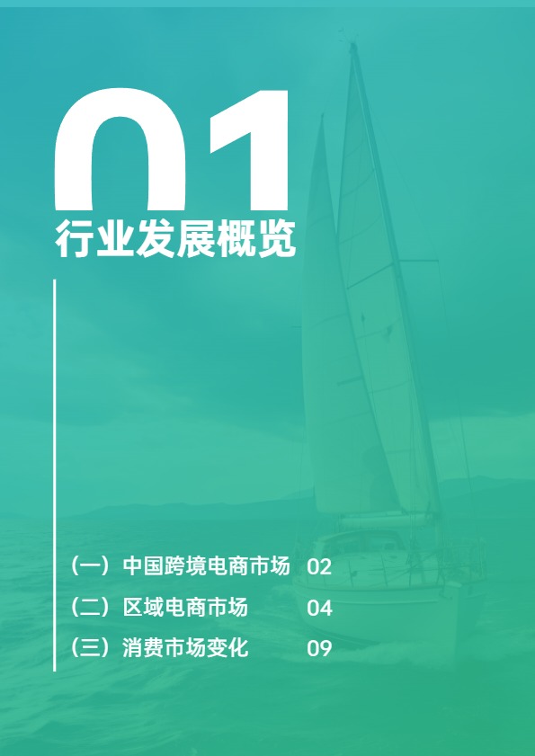 AMZ123《2025上半年跨境电商行业报告》 