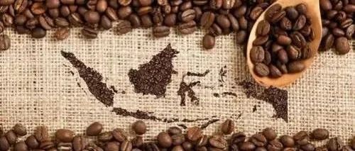 印尼，下一片咖啡创业热土