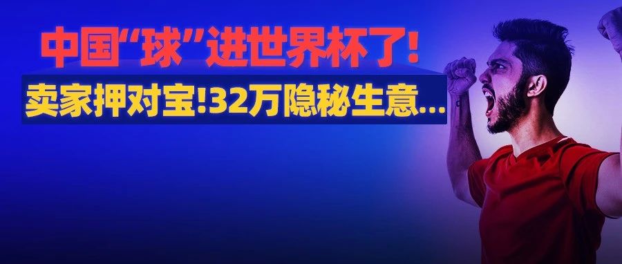 人生不过几届世界杯，球迷哭了，卖家也哭了...这玩意儿竟卖了32万!天价隐秘生意...正在破茧