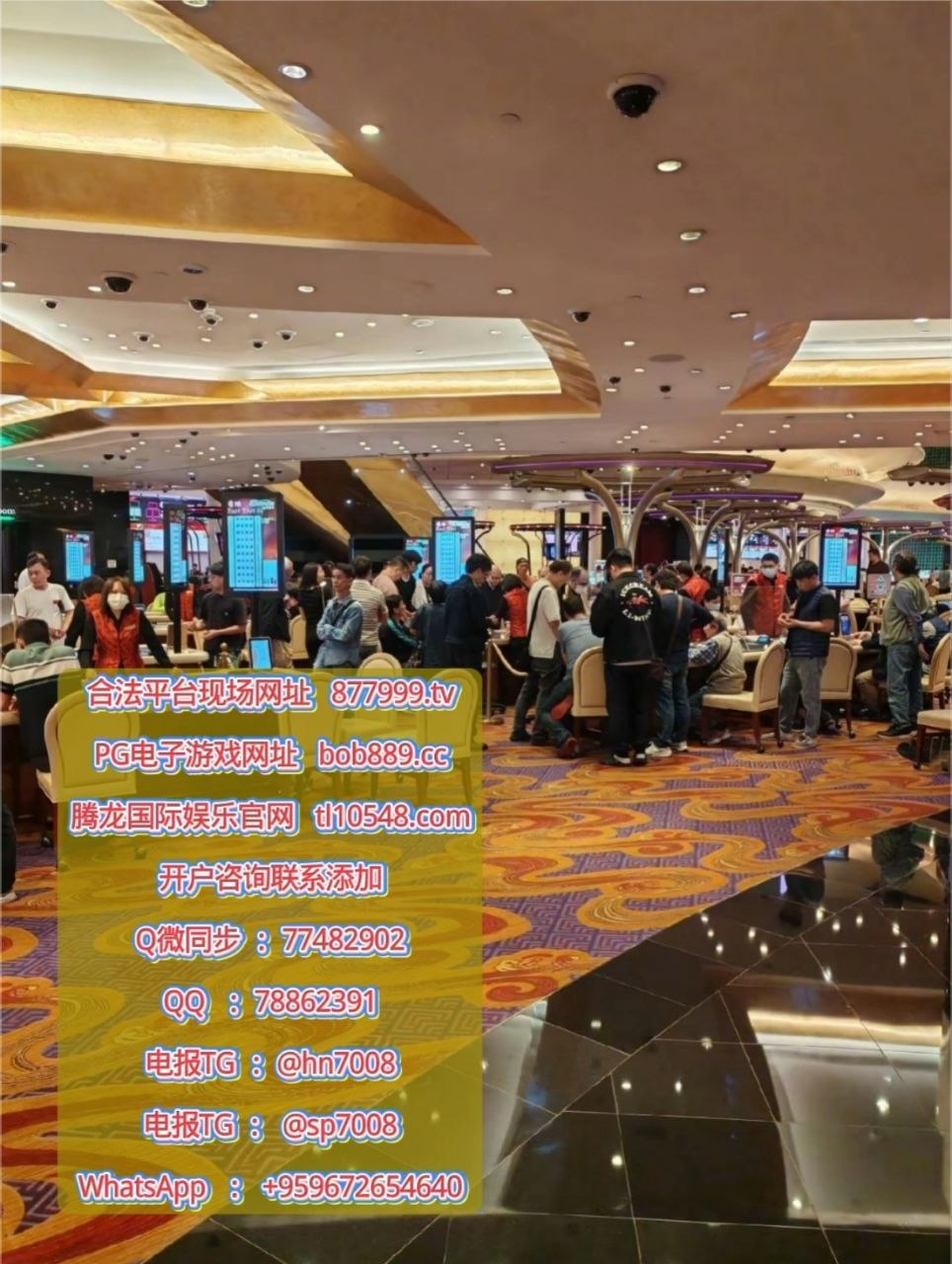 美国spwlc0缅甸spw92233@gmail.com+959672654640+9596726546407748290277482902