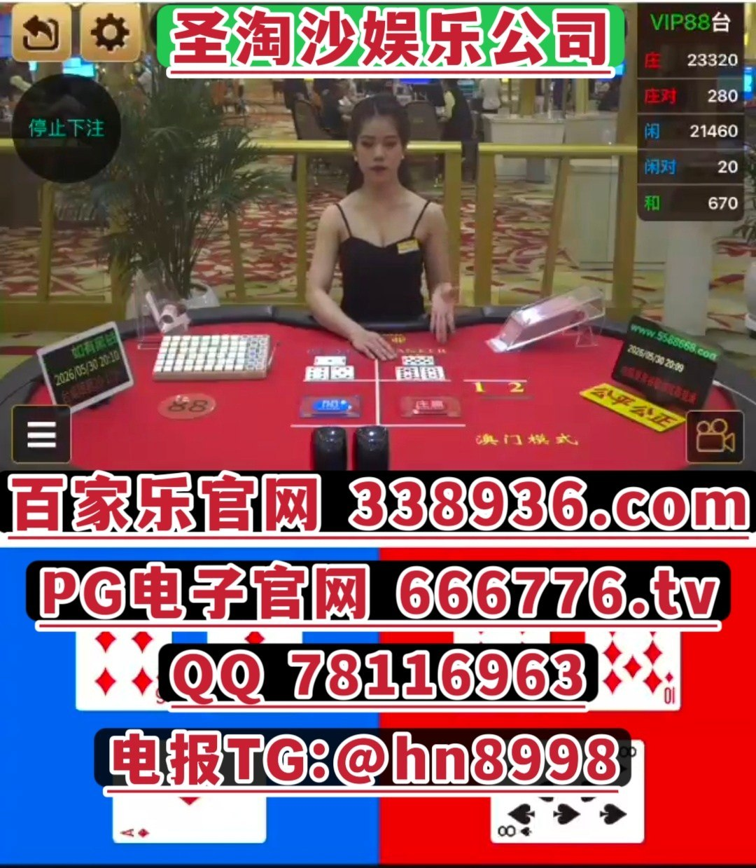 印尼 东南亚正规合法赌场线上开户网址【338936.com】客服QQ 78116963香港adqazse6@gmail.com电报TG: @hn8998客服QQ 78116963